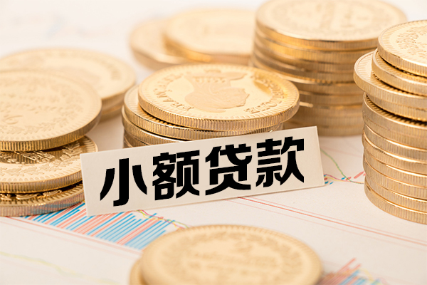 东莞莞城区小额贷款当天放款-东莞莞城区哪里可以信用贷款-东莞莞城区民间借贷